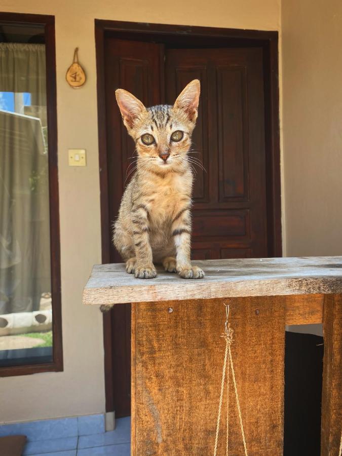 גילי טרוונגן Jimador'S Homestay מראה חיצוני תמונה